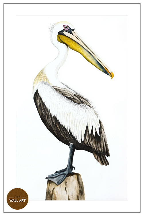 images/products/yellow_beack_pelican/yellow_beack pelican_WHITE_PWB.jpg